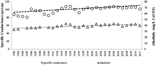 Figure 7. Mean annual whole-lake specific conductance (µS/cm) and alkalinity (mg/L CaCO3). Alkalinity for 1984 and 1989 not included due to insufficient data. Alkalinity averaged 33 mg/L in the early 1970s (Welch Citation1977). Significant increasing trends for both parameters (P < 0.01).