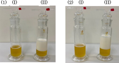 Figure 1. Beers before and after foaming.A can of beer (brand B) stored in a refrigerator (5° C) was removed at room temperature (20° C). Samples of 50 mL (1) or 65 mL (2) of beer were transferred to a measuring container and bubbled by ultrasonic waves for 2 min in an ultrasonic washing machine.(I) Before foaming and (II) after foaming.
