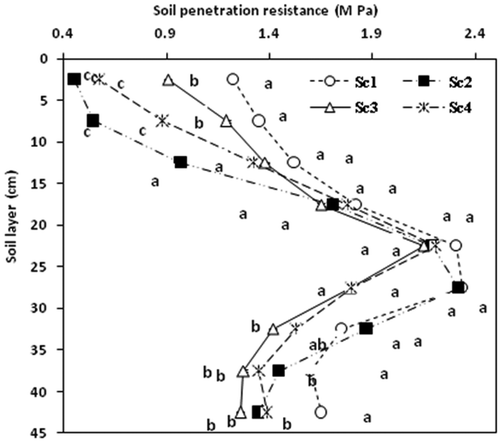 Figure 2. Soil penetration resistance (MPa) with depth increment under different scenarios. (Same lower case letters are not significantly different at P < 0.05 according to Duncan Multiple Range Test for separation of mean). Sc1- conventional rice-wheat system, Sc2- partial CA-based rice-wheat-mungbean system, Sc3- CA-based rice-wheat-mungbean system, Sc 4- CA-based maize-wheat-mungbean system.