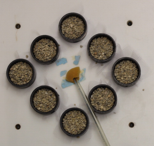 Figure 3. Opaque plastic covering with attached fittings with mesh to suspend gravel and seed over hydroponic solution. Tubing in center used to deliver oxygen into the hydroponic solution below.