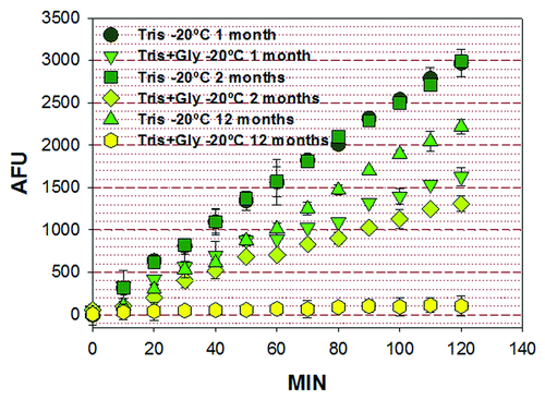 Figure 2. Activity of PP2ACα purified from insect larvae. Activity was determined after 1, 2 or 12 mo after purification by the 4-MUP method. The enzyme was stored in 50 mM TRIS-HCl, pH 7.2, or in 50 mM TRIS-HCl pH 7.2 and 50% glycerol. The enzyme retained 100% of its activity after 2 mo, when stored in 50 mM TRIS-HCl, pH 7.2, and lost approximately 30% of its activity after a year in the same conditions. On the other hand, there was a decrease in enzymatic activity after 1 mo when the PP2ACα was dissolved in 50 mM TRIS-HCl pH 7.2 and 50% glycerol. These decrease in enzyme activity was more pronounced after 2 mo and almost no activity was observed after one year. AUF, arbitrary fluorescence units; MIN, minutes.