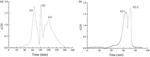 Figure 2. Purification products of (a) Sephadex G-25 and (b) Sephadex G-15 gel chromatography of U3.