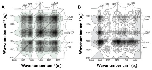 Figure 8 (A and B) Synchronous and asynchronous two-dimensional correlation spectra in the 2000–800 cm−1 region constructed from the reducing agent–dependent infrared spectra.