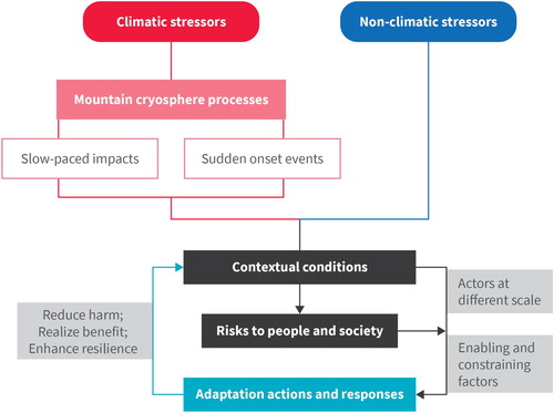 Figure 1. Analytical framework of the study.