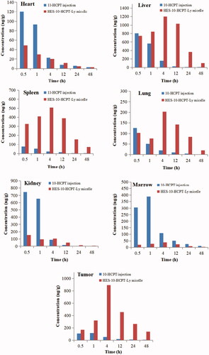 Figure 7. Tissue distribution profiles of 10-HCPT after intravenous 10-HCPT injection and HES-10-HCPT-Ly micelles administration of 1.5 mg/kg.