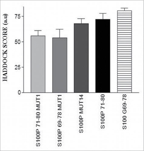 Figure 8. Binding scores of ER-S100P Mutation Peptide Complexes.