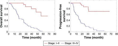 Figure 2 Overall survival and progression-free survival for the elderly esophageal cancer patients.
