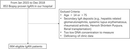 Figure 1. The protocol for selection of IgAN patients.