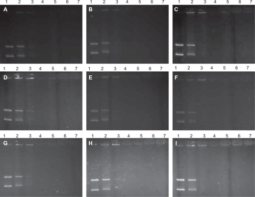 Figure 1 Gel retarding analysis of PCL/DNA complexes formulated with A) PC/NaO (10:1), B) PC/NaO (10:1.5), C) PC/NaO (10:2), D) PC/CHAPS (10:1), E) PC/CHAPS (10:1.5), F) PC/CHAPS (10:2), G) PC/NaT (10:1), H) PC/NaT (10:1.5), and I) PC/NaT (10:2). Lane 1, pEGFP-C2; lanes 2–7, PEI-coated liposomes (PCL)/DNA complexes at weight ratios of 0.05, 0.1, 0.5, 1, 5, and 10, respectively.Abbreviations: PC, phosphatidylcholine; PCL, polycationic liposomes; PEI, polyethylenimine; NaO, sodium oleate; NaT, sodium taurocholate; CHAPS (3-[{3-cholamidopropyl}-dimethylammonio]-1-propanesulfonate) (zwitterionic surfactant); pEGFP-C2, plasmid DNA encoding green fluorescent protein.