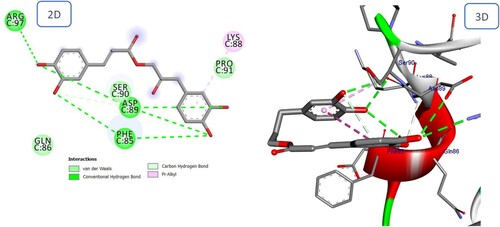 Figure 12. 2D and 3D representation of predicted binding mode of Petasiphenol with BMPIA receptor.