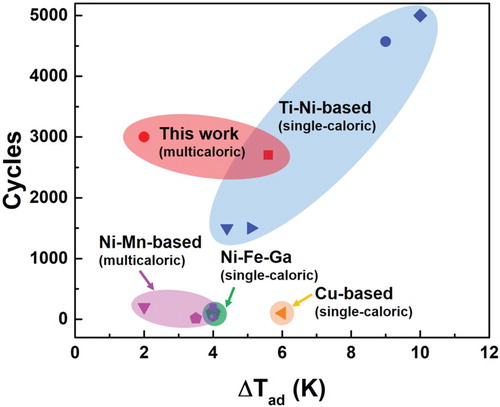 Figure 5. Comparison of the cyclability of elastocaloric effect and adiabatic temperature change ΔTad of the alloys designed in this work with other elastocaloric materials in the polycrystalline form. The ‘Cycles’ denote the number of cycles of elastocaloric effect reported in literature; since most of the studies did not mention whether failure occurred after such cycles, this number does not necessarily corresponds to fatigue life. Data in this figure were taken from the present study and literature: Ti-Ni film [Citation4], Ti-Ni-Cu film [Citation4], Ti-Ni-V [Citation21], Ti-Ni [Citation23], Ni-Mn-In [Citation6], Cu-Zn-Al [Citation5], Ni-Co-Mn-In [Citation16,Citation19], Ni-Mn-Ga [Citation20], Ni-Fe-Ga [Citation22].