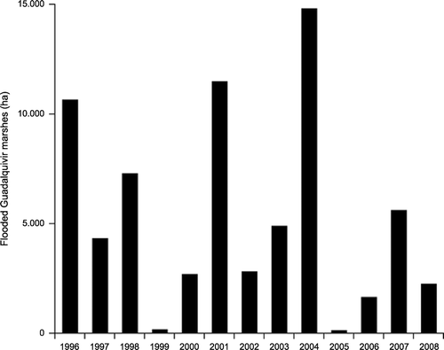 Figure 3 Mean flooded area (ha) in June of marshes in Doñana National Park from 1996 to 2007.