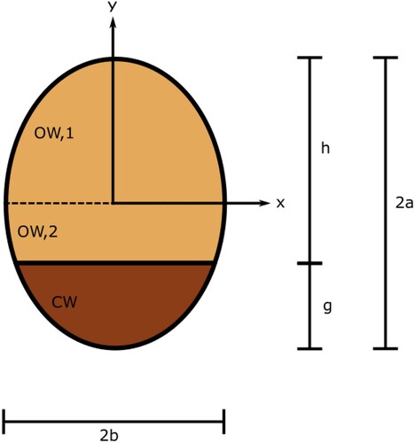 Figure A1. Idealized elliptical cross-section containing both OW and CW.