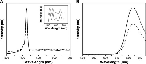 Figure 3 UV–visible (A) and fluorescence spectra (B) of free PS (continuous line) and DPN (hatched line).Notes: Insert in (A) shows an enlarged absorption spectra of PS between 500 and 700 nm. No spectral shift was observed upon conjugating PS to dendrimers.Abbreviations: UV, ultraviolet; PS, 5,10,15,20-tetrakis (4-hydroxyphenyl)-21H,23H-porphine; PAMAM, poly(amidoamine); DPN, PAMAM-(PS)-Ni-NTA; DPBF, 1,3-diphenylisobenzofuran.