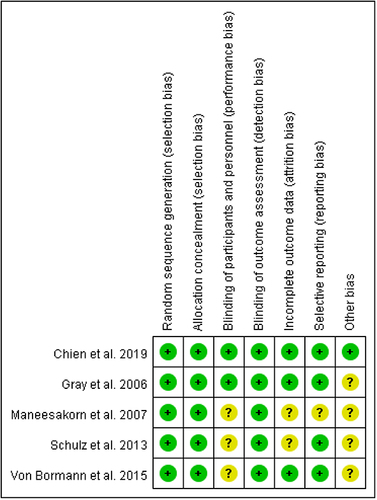 Figure 2 Risk of bias in each of the five studies.Citation17,Citation24–27