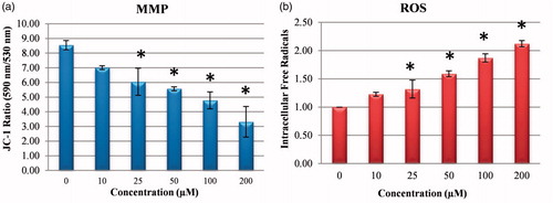 Figure 5. Reactive oxygen species (ROS) levels and mitochondrial membrane potential (MMP) stability detected by spectroflourimetry. Cells were treated with various concentrations of compounds 1 (0–200 μM) for 24 h. (a) The cells were stained with the JC-1 dye and spectroflourimetry was performed to determine the MMP stability. (b) The cells were stained with the ROS red dye and spectroflourimetry was performed to determine the intracellular ROS. The data are presented as the mean ± SD (n = 3). *p < 0.05 compared with the control.