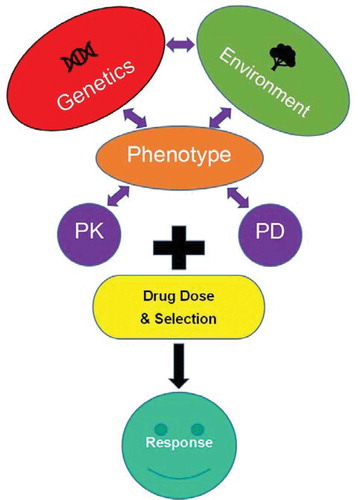 Figure 1. Major components determining an individual’s response to pharmacotherapy. The individual’s genome, environmental factors including concomitant disease(s) (e.g. infection, inflammation, hepatitis, tumor), the impact of drugs that induce or inhibit liver enzymes, and dietary/lifestyle choices (e.g. cigarette smoking), along with the pharmacokinetic and pharmacodynamic parameters of a medication and its dose.