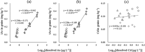 Figure 4. Relationships between the concentrations of dissolved As and Cd and the logarithmic concentrations of iAs (a), tAs (b), and Cd (c) in rice grains. Only for Cd, data under CF cultivation was not shown because most of the concentration of dissolved Cd in the soils and Cd in rice grains were less than LOD or LOQ. Circle, triangle, and square indicate control, application of SSS, and application of residual iron material, respectively. Plot colors of gray and white indicate CF and WS cultivation, respectively.