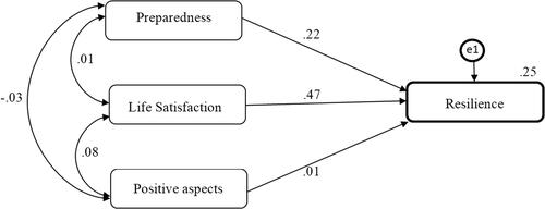 Figure 1. Path diagram depicting predictors of resilience-study group (standardised estimates).