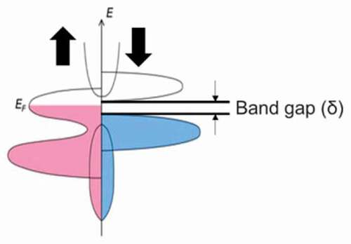 Figure 2. Schematic diagram of spin DOS for a HMF