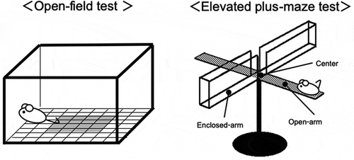 Figure 2. Apparatuses used for the measurement of anxiety-like behaviors.