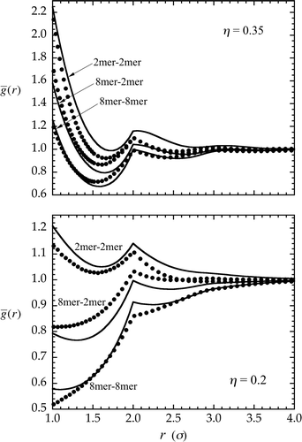 Figure 6. Average intermolecular site–site distribution functions () for an 8mer–2mer tangent hard-sphere chain mixture as calculated from CIE theory (lines) and MC simulation (symbols). Results are given at moderate density (η  = 0.2) in the lower panel, and at high density (η  = 0.35) in the upper panel, both cases corresponding to a composition of x 2mer  = x 8mer  = 0.5. Shown, respectively from top to bottom (at each density), are the distributions, , , and . (See the first paragraph of Section 3 for additional model details.)