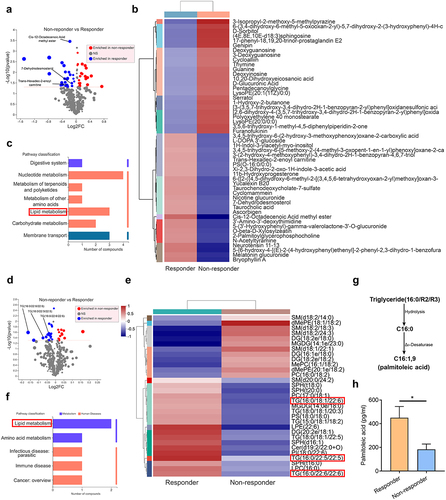 Figure 2. Differential metabolic profiles between anti-TNF-α therapy responders (R) and non-responders (NR) highlight that aberrant lipid metabolism with decreased palmitoleic acid (POA) are associated with compromised efficacy of anti-TNF-α therapy.