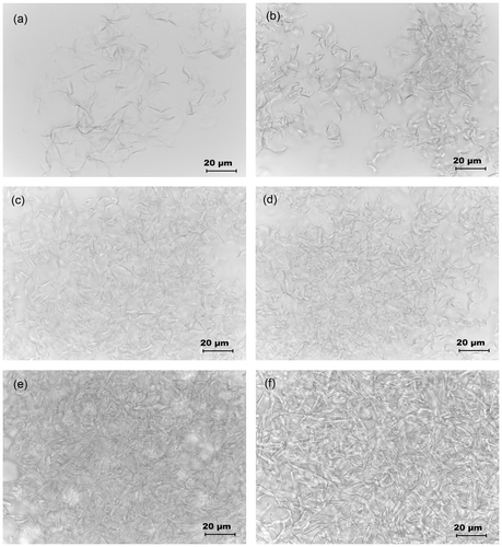 Figure 3. Micrographs of SM/MO mixture at the SM concentration of: (a) 5% (w/w), (b) 10% (w/w), (c) 15% (w/w), (d) 20% (w/w), (e) 23% (w/w) and (f) 25% (w/w).