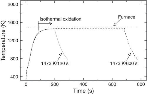 Figure 2. Typical histories of the temperatures of the specimen holder during oxidation tests at 1473 K for durations of 120 and 600 s.