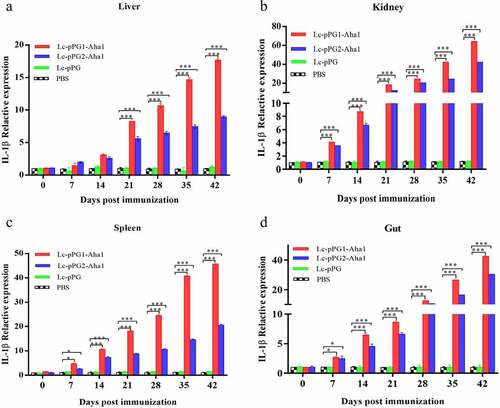 Figure 7. qRT-PCR analysis of the expression of IL-1β in Liver (a), Spleen(b), Kidney (c) and Intestine (d) of common carp (n = 5 fish/group) after immunization. Data are presented as mean ± SD fold increase relative to PBS control. *: p < 0.05, **: p < 0.01, ***: p < 0.001.