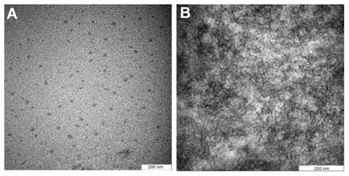 Figure 6 The TEM images of (A) the initial (T802), and (B) the modified (M1) nanoemulsions.