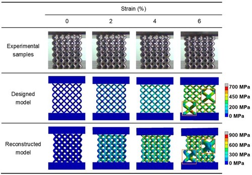 Figure 8. Comparison between the stress distribution and the deformation behaviour of experiment samples.