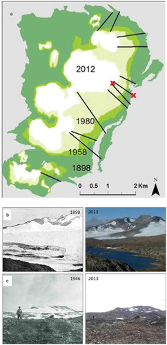 Figure 2. (a) The extent of the Ålmajallojekna glacier in 1898 (dark green), 1958 (green), 1980 (light green), and 2012 (white), as well as the twelve transects used for the plant survey undertaken during this study. The red crosses show the positions of the two temperature loggers. (b) Photo point XII in Westman (Citation1899) showing the eastern parts of Ålmajallojekna. The photographs were taken July 30, 1898 (left), and September 5, 2013 (right). (c) Photo point from Selander (Citation1950) (seen from Mt. Kasakpuolta) photographed July 26, 1946 (left), and September 5, 2013 (right). Selander (Citation1950) described the area in the photo as “Recently formed nunatak” (i.e., area completely devoid of phanerogam vegetation) and on the bare gravel in the foreground he found no phanerogam vegetation other than Saxifraga rivularis. Photos from 2013: Markus Franzén.