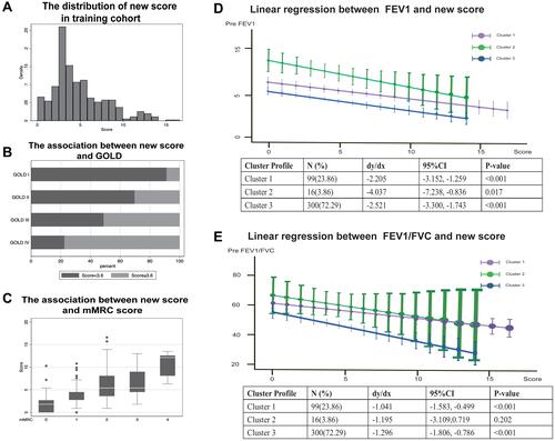 Figure 5 The distribution of new score in training cohort. (A) The distribution of new score among COPD patients derived from training cohort. (B) Horizontal bar chart shows the fraction of high and low score classified by GOLD and cut-off value of 3.6 is determined by sensitivity and specificity in the ROC. (C) The new score is compared among patients with different degree of mMRC score. (D and E) The correlation is assessed by Spearman linear regression between lung function test (FEV1% (D) and FEV1/FVC (E)) and score in three different clusters.