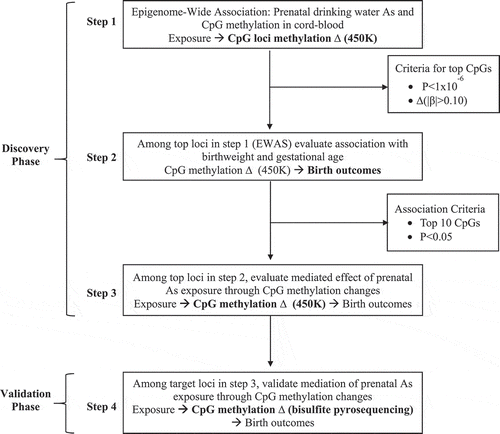 Figure 1. Experimental approach for the discovery of DNA methylation disruption induced by prenatal arsenic exposure and subsequent mediation of birth outcomes.