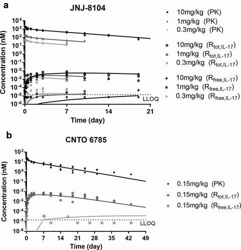 Figure 6. PK/TE model fitting of PK, total IL-17A and Free IL-17A profiles following IV administration of JNJ-8104 (a) and CNTO 6785 (b) in cynomolgus monkeys. Symbols = Observed individual data; Lines = Mean model prediction.