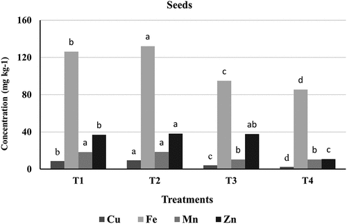 Figure 8. Heavy metals in Maize seeds (mg kg−1).