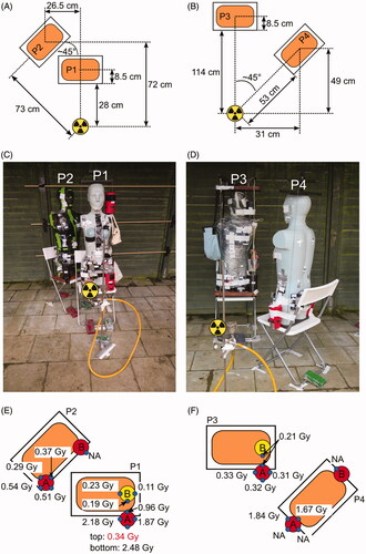 Figure 1. Irradiation setups and positions of samples for biological dosimetry. (A, C) setup of the first irradiation (phantoms P1 and P2), with samples P1-A (left hip) and P1-B (left shoulder) in red thermos flasks, samples P2-A (left hip) and P2-B (right hip) in black thermos flasks. (B, D) setup of the second irradiation (phantoms P3 and P4), with samples P3-A (left hip) and P3-B (left shoulder) in black, samples P4-A (left hip) and P4-B (right hip) in red thermos flasks. (E, F) RPL glass dosimeter reference doses measured outside the flasks. Red (hip) or yellow (shoulder) circles indicate the positions of flasks on the phantoms. Small blue circles indicate the position of the RPL reference glass dosimeters on the outside of the flasks. Missing doses are indicated by ‘NA’.