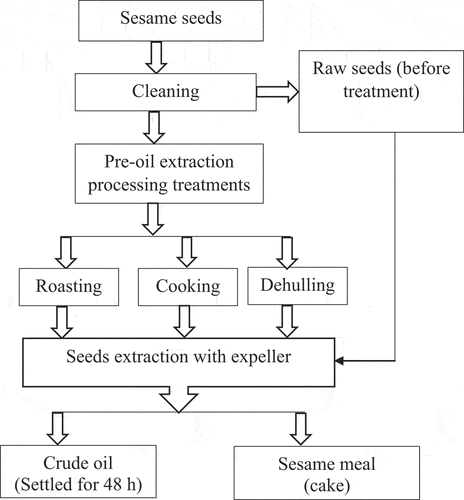 Figure 2. Flow diagram showing oil extraction process steps from sesame seeds.