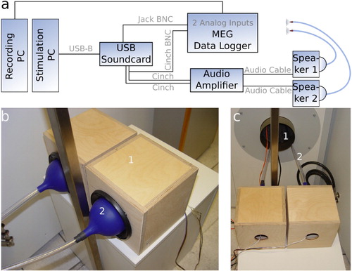 Figure 2. Setup configuration. (a) Wiring scheme of the different devices. (b) The speech sound is transmitted into the magnetically shielded chamber via a custom-made construction consisting of two loudspeakers (1) which are coupled to silicone funnels and (2) each connected to a flexible tube. (c) Through a small whole in the magnetically shielded chamber (1), speech sound is transmitted via the two flexible tubes (2).