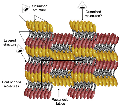 Figure 11. (Colour online) The structure of the B1 phase. The molecules are shown as bent rods where the red and yellow ellipsoids are mesogenic units, the metal looking linkage may be a rigid group as found in bent-core mesogens, or alternatively it may be flexible as seen later in the design of materials that exhibit NTB phases.