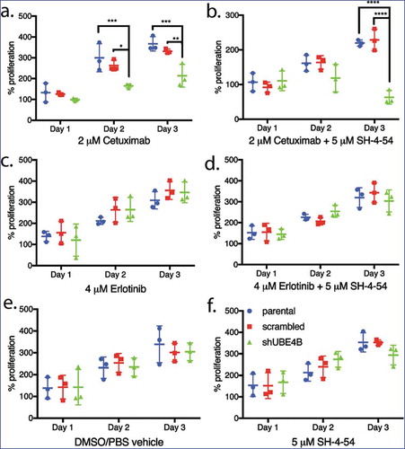 Figure 5. Proliferation of wild type, scrambled, and UBE4B-depleted SK-N-AS neuroblastoma cells measured following treatment with either (a) Cetuximab alone, (c) Erlotinib alone, (b) a combination of Cetuximab with the STAT5 inhibitor, SH-4-54 (d) or a combination of Erlotinib with SH-4-54. Controls included treatment with the vehicle alone (e) or the STAT5 inhibitor SH-4-54 (f). Proliferation was assessed using an MTT assay every 24 hrs for 72 hrs. Percent proliferation is determined by dividing absorbance at day 1, 2, or 3 by the absorbance taken at day 0 (prior to drug administration) (n = 3). All data points and the mean ± S.E.M. are displayed for each time point and reflect the average of three independent trials. Comparisons were made using ANOVA with post hoc Dunnett multiple comparison test. * denotes p < .05, ** denotes p < .01, *** denotes p < .001.