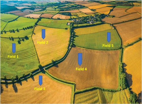 Figure 5. Sample farm: collection of fields.