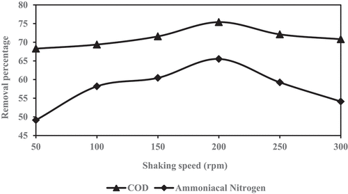 Figure 2. Percentage of COD and NH3-N removal against different shaking speeds of green mussel and zeolite