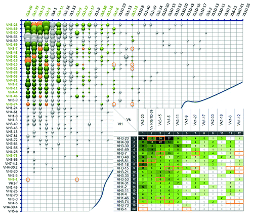 Figure 2. Frequency distribution of VH/Vκ antibody pairs in the natural human antibody repertoire. Bubble chart illustrating VH/Vκ pairing frequencies of 1,358 analyzed VH/Vκ sequences from the natural human antibody repertoire. V segments are listed according to their individual frequency in the Ig kappa antibody pool. Each bubble size refers to the relative frequency of the corresponding VH/Vκ pair. Green bubbles indicate the 240 selected VH/Vκ pairings for the initial screening experiments, with their absolute frequencies summarized in the inlay picture. Orange bubbles, circles and frames show the final selected 21 VH/Vκ pairs that are included in Ylanthia. The circles indicate VH/Vκ pairs that were not found in our analysis of natural VH/VL pair sequences.