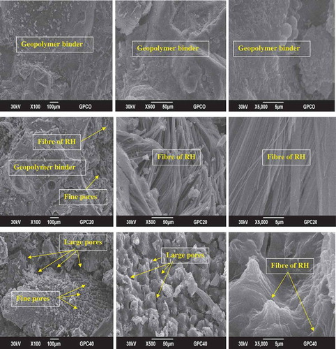 Figure 13. Micrograph images of geopolymer mortars MGPC0, MGPC20 and MGPC40.