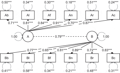 Figure 1. Confirmatory factor analysis