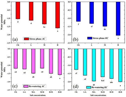 Figure 8. Effect of salt stress and RWP of water potential on A. corniculatum (a, c) and K. candel (b, d), the small letter indicates significant difference at (p < 0.05) using Duncan’s multiple range tests.