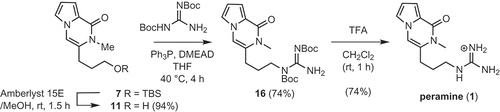 Scheme 5. Synthesis of peramine (1) from 7.