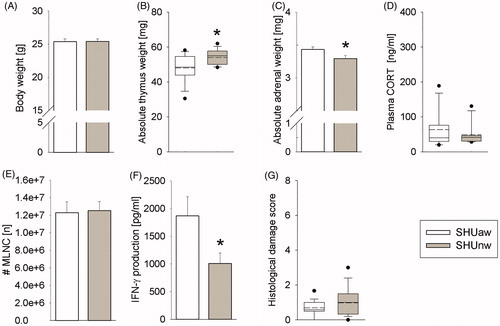 Figure 5. Effects of the drinking water quality on physiological and immunological parameters in single-housed mice at Ulm University (SHU). Compared to single-housed (SH) mice receiving acidified (pH∼2.4) water (SHUaw; white bars) for 27/28 days, SH mice receiving normal tap water (SHUnw; gray bars) for 27/28 days showed (A) comparable body weight at the time point of killing (day 27/28), (B) increased absolute thymus weight, (C) decreased absolute adrenal weight, (D) unaffected plasma corticosterone (CORT), (E) unaffected numbers (#) of viable mesenteric lymph node cells (MLNC), (F) decreased interferon-γ (IFN-γ) secretion from isolated and anti-CD3/CD28-stimulated MLNC in vitro and (G) an unaffected histological damage score of the colon. SHUaw (n = 16); SHUnw (n = 15). Parametric data represent mean + SEM. Nonparametric data are presented as box-plot diagrams. Solid line represents the median, dashed line represents the mean for each data set. Lower box indicates 25th, upper box indicates 75th percentile. If n > 8 per group, 10th (lower error bar), and 90th percentile (upper error bar) as well as possible outliers beyond the percentiles (indicated by closed circles) are shown. *p < .05 versus SHUaw group.